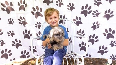 Vaughn puppy - Greater LA