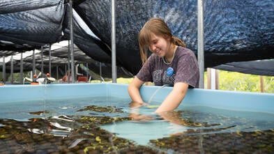 Claire Saves the Reef