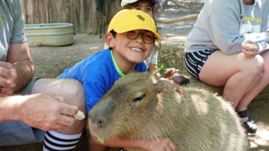 Wish kid Joshua with a capybara