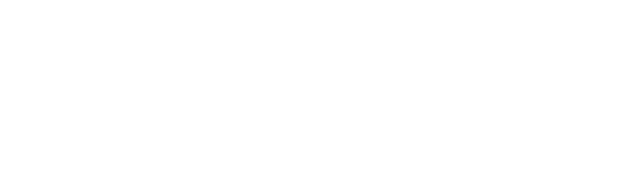 Make-A-Wish Nevada Logo