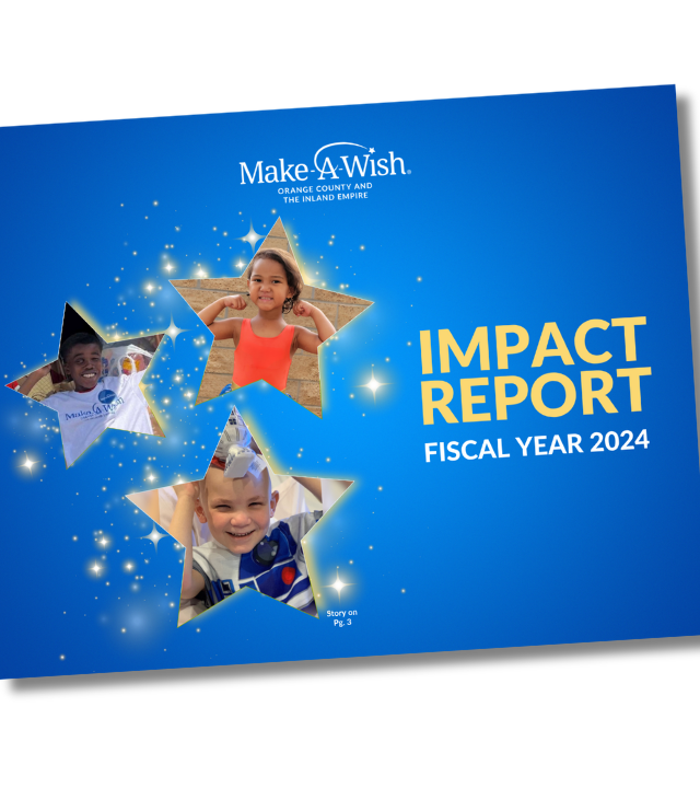 Fiscal Year 2024 Impact Report