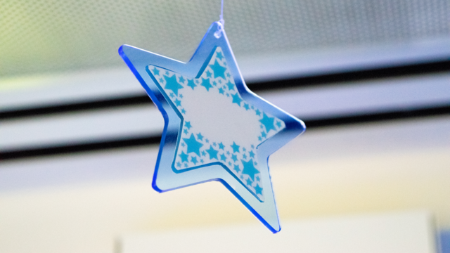 Alumni Star